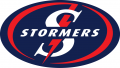 Stormers 2000-Pres Primary Logo Print Decal