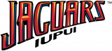 IUPUI Jaguars 2008-Pres Wordmark Logo Print Decal