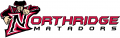 Cal State Northridge Matadors 1999-2013 Wordmark Logo Iron On Transfer
