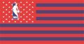 National Basketball Association Flag001 logo Print Decal