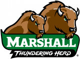 Marshall Thundering Herd 2001-Pres Alternate Logo 10 Iron On Transfer