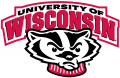 Wisconsin Badgers 2002-Pres Secondary Logo Print Decal