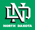 North Dakota Fighting Hawks 2012-2015 Primary Dark Logo Iron On Transfer