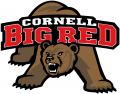 Cornell Big Red 1998-2001 Primary Logo Print Decal