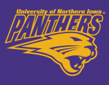 Northern Iowa Panthers 2002-2014 Secondary Logo 02 Iron On Transfer