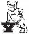 Yale Bulldogs 1972-1997 Primary Logo Iron On Transfer