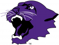 Kansas State Wildcats 1975-1988 Partial Logo 02 Iron On Transfer