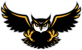 Kennesaw State Owls 2012-Pres Alternate Logo 01 Print Decal