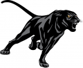 Prairie View A&M Panthers 2011-Pres Partial Logo Print Decal