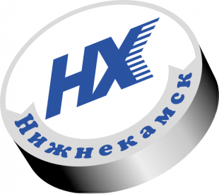 Neftekhimik Nizhnekamsk 2008 Primary Logo Print Decal