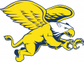 Canisius Golden Griffins 1999-2005 Secondary Logo 02 Print Decal