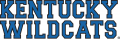 Kentucky Wildcats 1989-2004 Wordmark Logo Print Decal