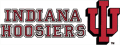 Indiana Hoosiers 1982-2001 Wordmark Logo Print Decal