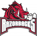 Arkansas Razorbacks 2001-2008 Secondary Logo 0 02 Print Decal