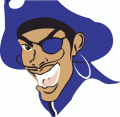 Hampton Pirates 1997-2001 Primary Logo Print Decal