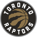 Toronto Raptors 2015-Pres Alternate Logo Print Decal