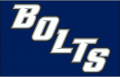 Tampa Bay Lightning 2008 09-2013 14 Jersey Logo Iron On Transfer