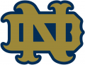 Notre Dame Fighting Irish 1994-Pres Alternate Logo 17 Iron On Transfer