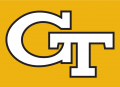 Georgia Tech Yellow Jackets 1991-Pres Alternate Logo Iron On Transfer
