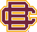 Bethune-Cookman Wildcats 2010-2015 Secondary Logo Iron On Transfer