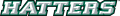 Stetson Hatters 2008-2017 Wordmark Logo Print Decal