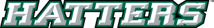 Stetson Hatters 2008-2017 Wordmark Logo Iron On Transfer