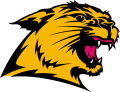 Northern Michigan Wildcats 1993-2015 Secondary Logo Print Decal