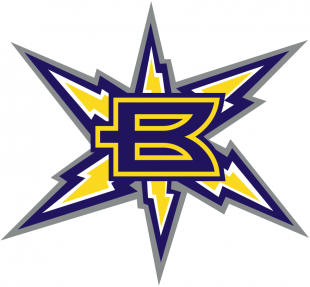 Birmingham Thunderbolts 2001 Primary Logo Print Decal