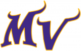 Minnesota Vikings 2004-Pres Alternate Logo Iron On Transfer