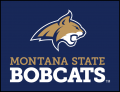 Montana State Bobcats 2013-Pres Alternate Logo 05 Print Decal