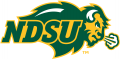 North Dakota State Bison 2012-Pres Primary Logo Print Decal
