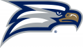 Georgia Southern Eagles 2010-Pres Secondary Logo Print Decal