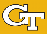 Georgia Tech Yellow Jackets 1991-Pres Alternate Logo Print Decal