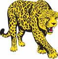 South Alabama Jaguars 1993-2007 Partial Logo Iron On Transfer