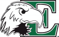 Eastern Michigan Eagles 2003-2012 Primary Logo Iron On Transfer