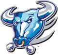 Buffalo Bulls 1997-2006 Alternate Logo Iron On Transfer