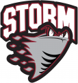 Guelph Storm 1997 98-2006 07 Primary Logo Iron On Transfer