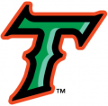 Norfolk Tides 2016-Pres Cap Logo Iron On Transfer