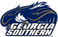 Georgia Southern Eagles 2004-2009 Primary Logo Print Decal