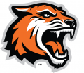 RIT Tigers 2004-Pres Alternate Logo Iron On Transfer