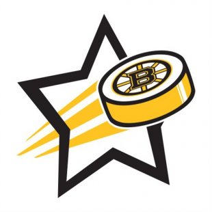 Boston Bruins Hockey Goal Star logo Print Decal