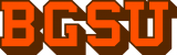 Bowling Green Falcons 1966-1979 Wordmark Logo Iron On Transfer