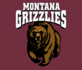 Montana Grizzlies 1996-Pres Primary Dark Logo 01 Print Decal