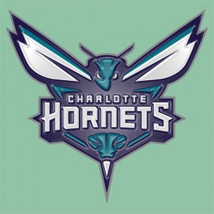 Charlotte Hornets Plastic Effect Logo Print Decal