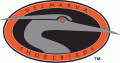 Delmarva Shorebirds 1996-2009 Primary Logo Print Decal