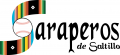 Saltillo Saraperos 2000-Pres Primary Logo Iron On Transfer
