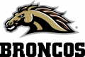 Western Michigan Broncos 2016-Pres Alternate Logo Iron On Transfer
