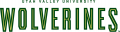 Utah Valley Wolverines 2008-Pres Wordmark Logo Print Decal