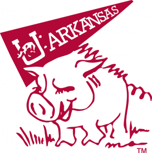 Arkansas Razorbacks 1969-1974 Mascot Logo Iron On Transfer