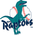 Ogden Raptors 2001-2014 Primary Logo Iron On Transfer